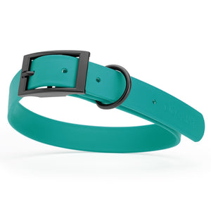Aqua blue dog collar with black buckle, made from waterproof biothane, 18 to 22 inches long