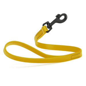 Treasure Gold traffic lead for dogs with black snap hook, 2 ft long, made from durable Biothane