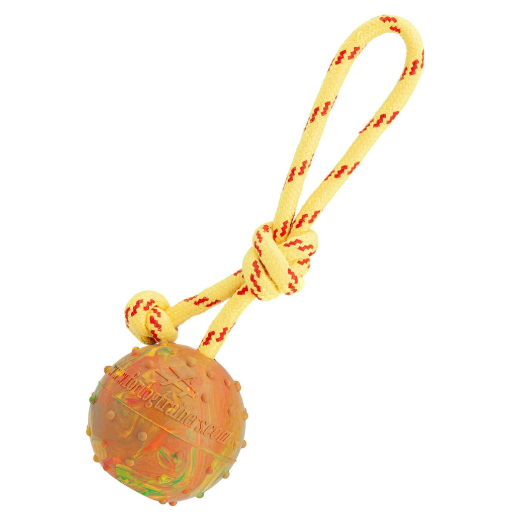 FDT Solid Rubber Dog Ball on Rope Large Diameter 2.75"