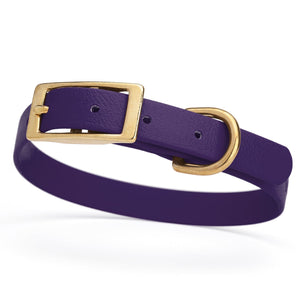 Violet Purple collar for small dogs with brass buckle and D-ring, made from waterproof and smell proof Biothane, width 3/4 inch