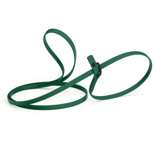 Hunter green slip lead for dogs, made from waterproof Biothane, 3/8 inches wide