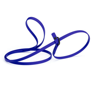 Blueberry slip lead for dogs, made from waterproof Biothane, 3/8 inches wide