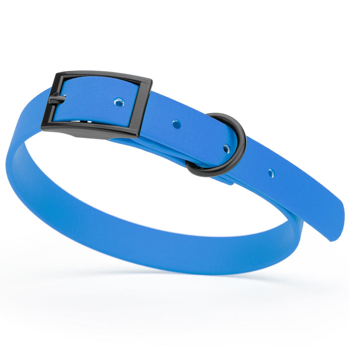 Cerulean Blue Biothane dog collar with black metal buckle and D-ring, width 5/8 inches, fits small dogs 