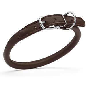 Dark brown leather dog collar with metal hardware, 1/2 inches wide