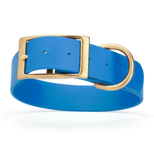 Cerulean Blue waterproof collar for large dogs with brass buckle and D-ring, made from Biothane, 1.5-inch wide