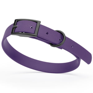 Violet Purple dog collar with black hardware, made from waterproof biothane, 12 to 15 inches long