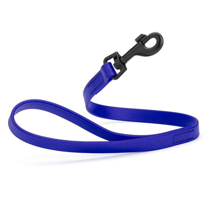 Biothane Waterproof Leash 2 ft