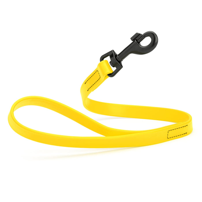 Biothane Waterproof Leash 2 ft