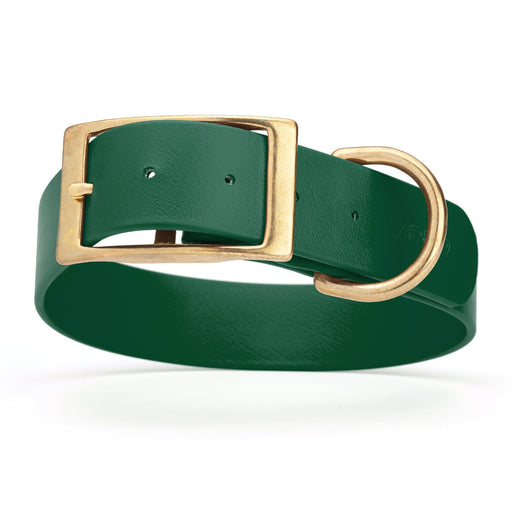 Hunter Green waterproof collar for large dogs with brass buckle and D-ring, made from Biothane, 1.5-inch wide