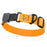 Dogline Biothane Waterproof Dog Collar with Herm Sprenger Stainless Steel Quick Release Buckle