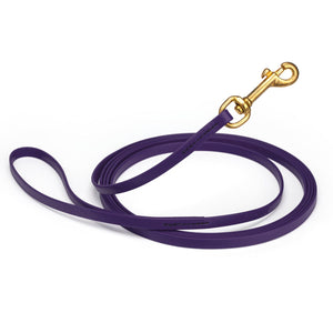 Violet Purple Biothane dog leash with brass snap hook, waterproof, 3/8in wide, 10ft long