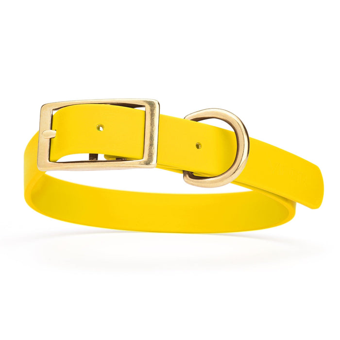 Lemon Yellow dog collar with brass buckle and D-ring, made from waterproof Biothane, 1-inch wide, fits medium and large dogs