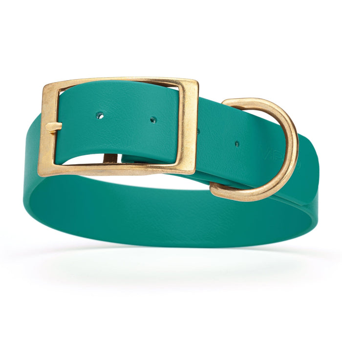 Aqua Blue dog collar with brass buckle and D-ring, made from waterproof Biothane, 1.5-inch wide, fits large and giant dogs