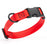 Cherry red dog collar with black quick release buckle and metal D-ring, adjustable, 5/8 inches wide, made from waterproof Biothane