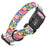 Dogline Biothane Printed Dog Collar with Quick Release Buckle