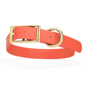 Coral dog collar with brass hardware, made from waterproof Biothane, 1-inch wide, fits large dogs