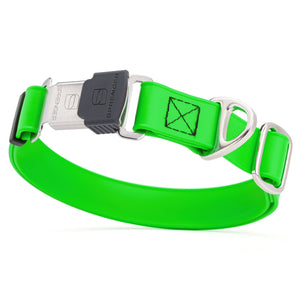 Tropical Green dog collar with silver Herm Sprenger buckle and metal D-ring, made from waterproof and odor resistant Biothane
