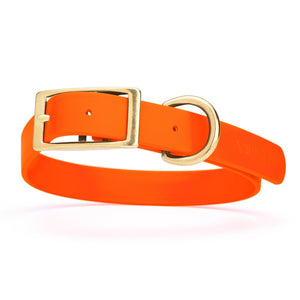 Hunter Orange dog collar with brass hardware, made from waterproof Biothane, 1-inch wide, fits large dogs