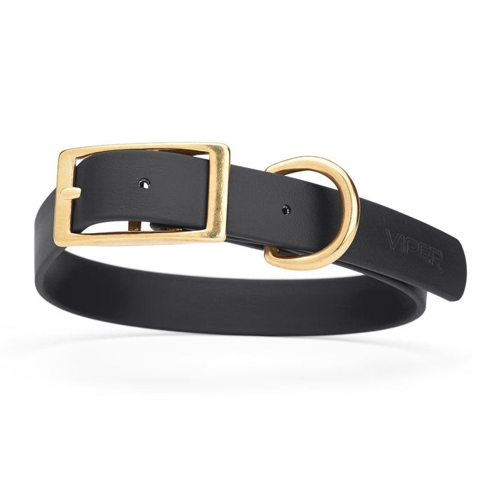 Black dog collar with brass buckle and D-ring, made from waterproof Biothane, 1-inch wide, fits medium and large dogs