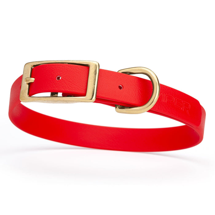 Biothane dog collar with brass buckle and D-ring, waterproof, fits medium dogs, width 3/4 inch, Cherry Red