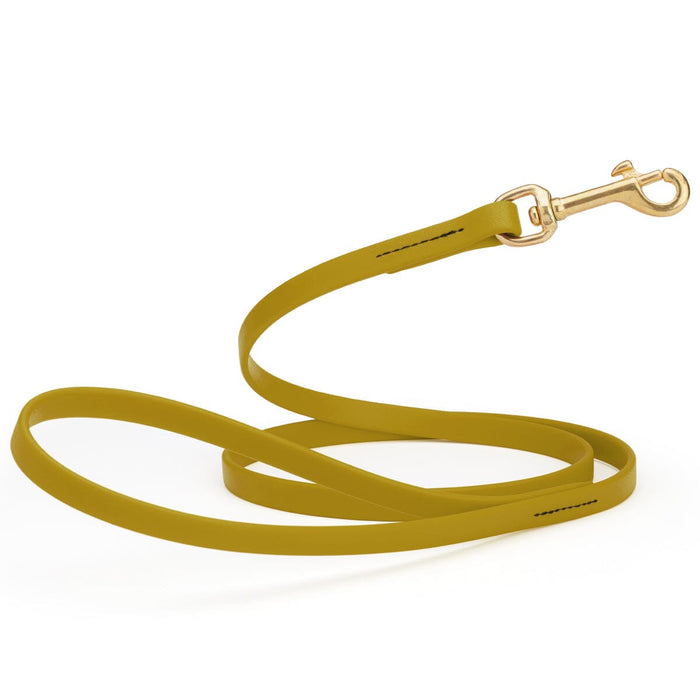 6 feet dog leash with brass swivel clip, made from waterproof Biothane, 1/2 inch wide, Treasure Gold