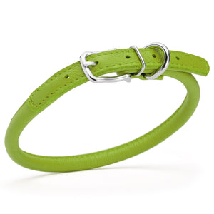 Lime green leather dog collar with metal hardware, 3/8 inches wide