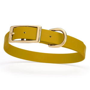 Biothane dog collar with brass buckle and D-ring, waterproof, fits medium dogs, width 3/4 inch, Treasure Gold