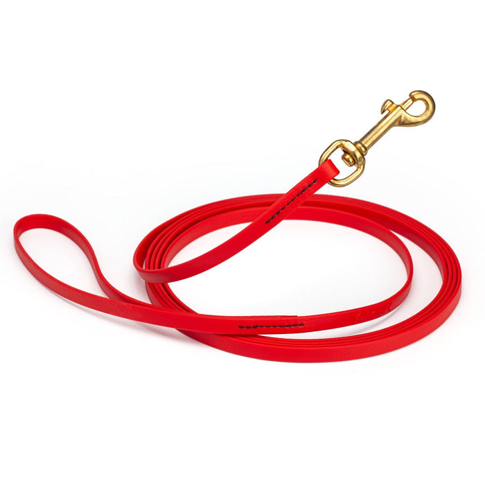 Cherry Red Biothane dog leash with brass swivel snap hook, 3/8 inch wide, 33 feet long