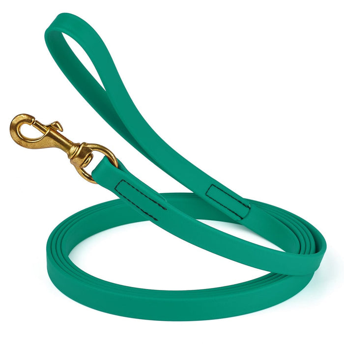15ft waterproof dog leash with brass swivel clip, made from Biothane, width 3/4 inch, Teal