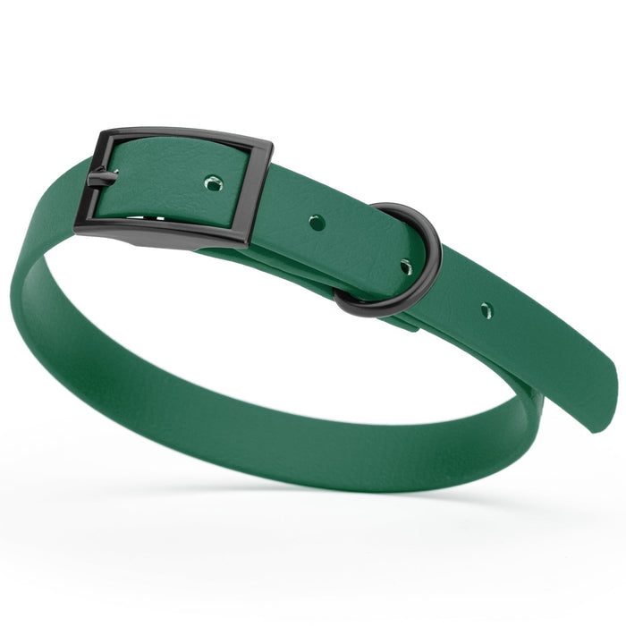 Hunter Green Biothane dog collar with black metal buckle and D-ring, width 5/8 inches, fits small dogs 