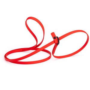 Cherry red slip lead for dogs, made from waterproof Biothane, 3/8 inches wide