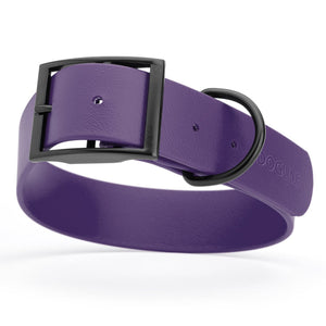 Violet Purple waterproof collar for large dogs, 1.5 inches wide, made from Biothane, with black metal hardware