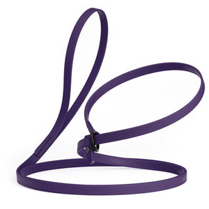 Violet yellow slip lead for dogs, made from waterproof Biothane, 1/2 inches wide