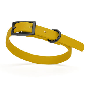 Treasure Gold dog collar with black hardware, made from waterproof biothane, 9 to 12 inches long