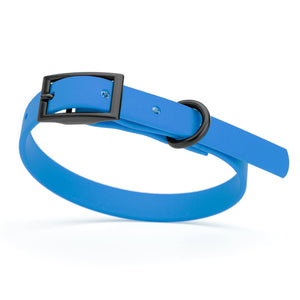 Cerulean blue dog collar with black hardware, made from waterproof biothane, 9 to 12 inches long