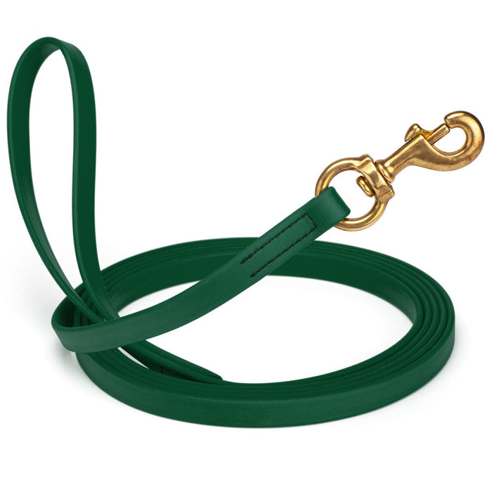Hunter Green BioThane dog collar with brass swivel snap hook, width 5/8 inch, length 10 feet