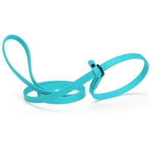 Sky blue slip lead for dogs, made from waterproof Biothane, 5/8 inches wide
