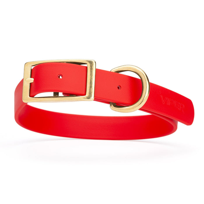 Cherry Red dog collar with brass hardware, made from waterproof Biothane, 1-inch wide, fits large dogs