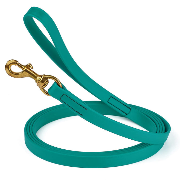 20 ft dog leash with brass snap hook, 3/4in wide, made from waterproof Biothane, Blue Aqua