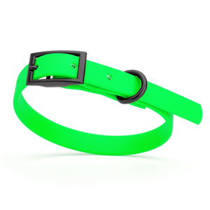 Tropical Green dog collar with black hardware, made from waterproof biothane, 9 to 12 inches long