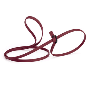 Merlot burgundy slip lead for dogs, made from waterproof Biothane, 3/8 inches wide