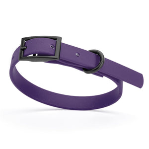 Violet Purple dog collar with black hardware, made from waterproof biothane, 9 to 12 inches long