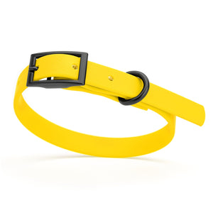 Lemon Yellow dog collar with black hardware, made from waterproof biothane, 9 to 12 inches long