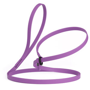 Amethyst purple slip lead for dogs, made from waterproof Biothane, 1/2 inches wide