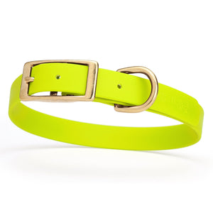 Biothane dog collar with brass buckle and D-ring, waterproof, fits medium dogs, width 3/4 inch, Safety Yellow