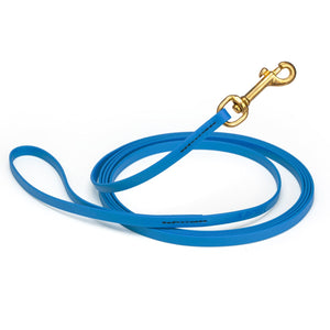 Cerulean Blue Biothane dog leash with brass snap hook, waterproof, 3/8in wide, 10ft long