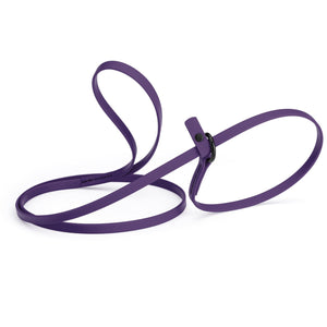 Violet purple slip lead for dogs, made from waterproof Biothane, 3/8 inches wide