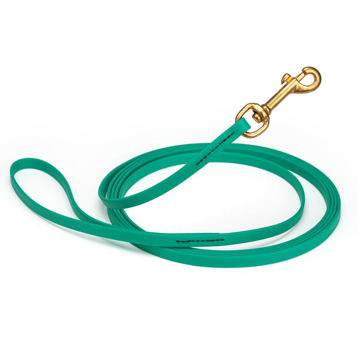Teal Biothane dog leash with brass swivel snap hook, 3/8 inch wide, 33 feet long