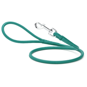 Teal leather leash for dogs with metal swivel clip, rolled design, 1/4 or 3/8 inches wide