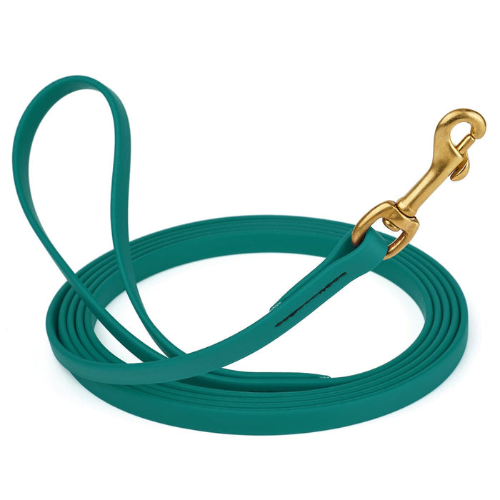 15 ft Aqua Blue dog leash with brass clip, made from waterproof Biothane, width 1/2 inch